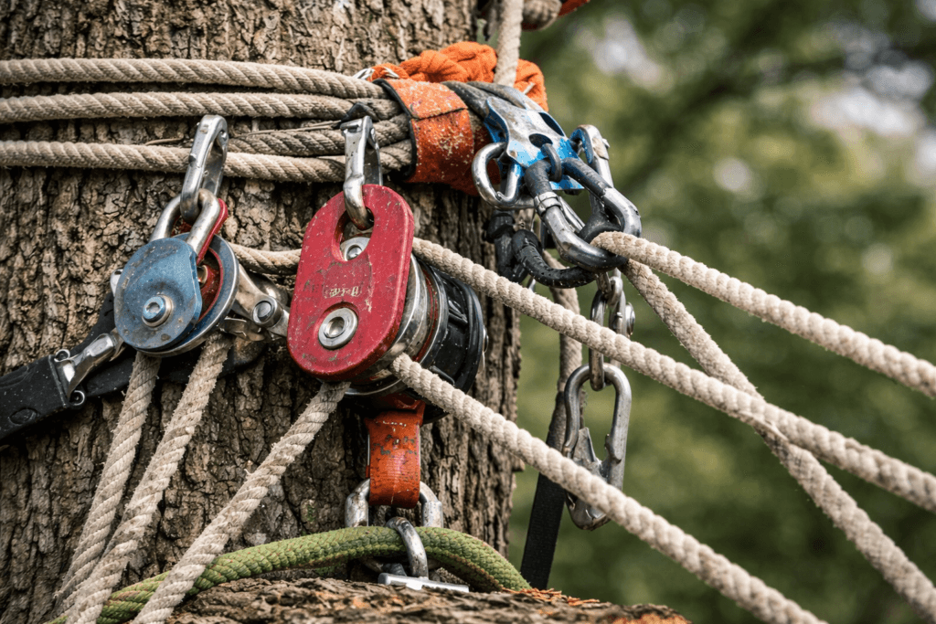 5:1 mechanical advantage pulley system used in professional tree rigging